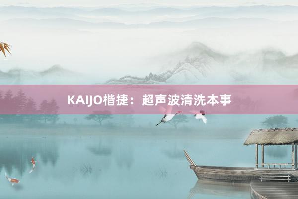 KAIJO楷捷：超声波清洗本事