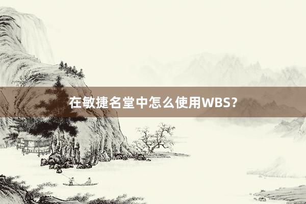 在敏捷名堂中怎么使用WBS？