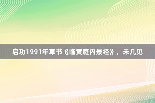 启功1991年草书《临黄庭内景经》，未几见