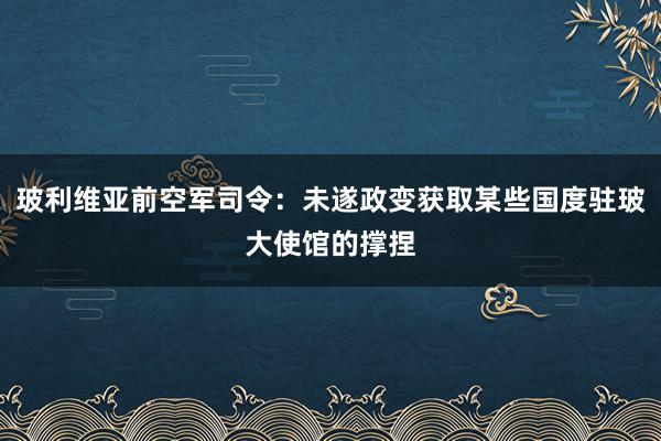 玻利维亚前空军司令：未遂政变获取某些国度驻玻大使馆的撑捏