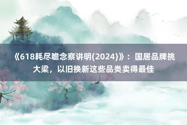 《618耗尽瞻念察讲明(2024)》：国居品牌挑大梁，以旧换新这些品类卖得最佳