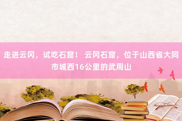 走进云冈，试吃石窟！ 云冈石窟，位于山西省大同市城西16公里的武周山