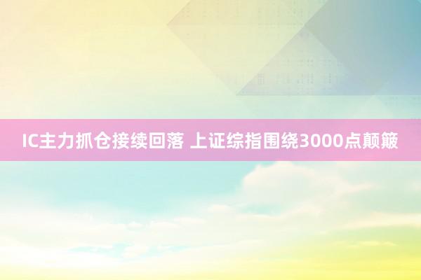 IC主力抓仓接续回落 上证综指围绕3000点颠簸