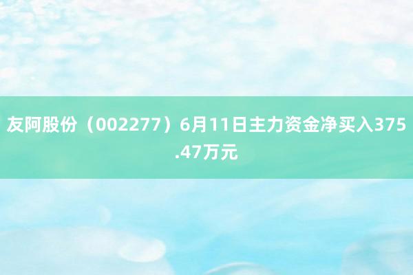 友阿股份（002277）6月11日主力资金净买入375.47万元