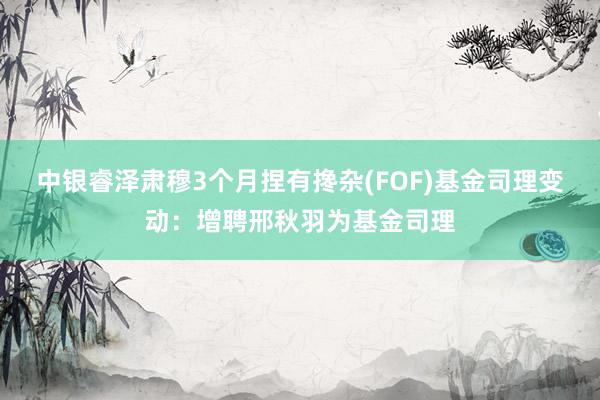 中银睿泽肃穆3个月捏有搀杂(FOF)基金司理变动：增聘邢秋羽为基金司理