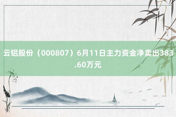 云铝股份（000807）6月11日主力资金净卖出383.60万元