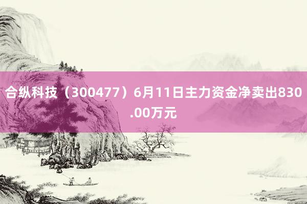 合纵科技（300477）6月11日主力资金净卖出830.00万元