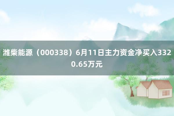 潍柴能源（000338）6月11日主力资金净买入3320.65万元