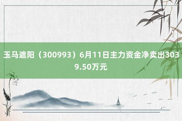 玉马遮阳（300993）6月11日主力资金净卖出3039.50万元