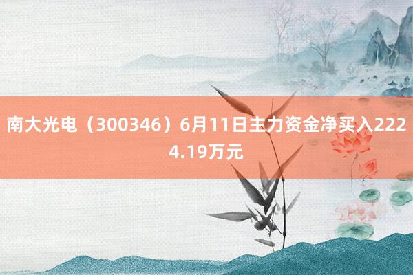 南大光电（300346）6月11日主力资金净买入2224.19万元