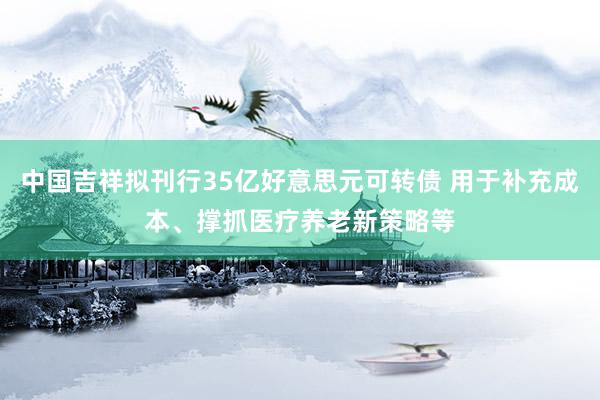 中国吉祥拟刊行35亿好意思元可转债 用于补充成本、撑抓医疗养老新策略等