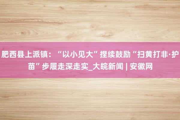 肥西县上派镇：“以小见大”捏续鼓励“扫黄打非·护苗”步履走深走实_大皖新闻 | 安徽网