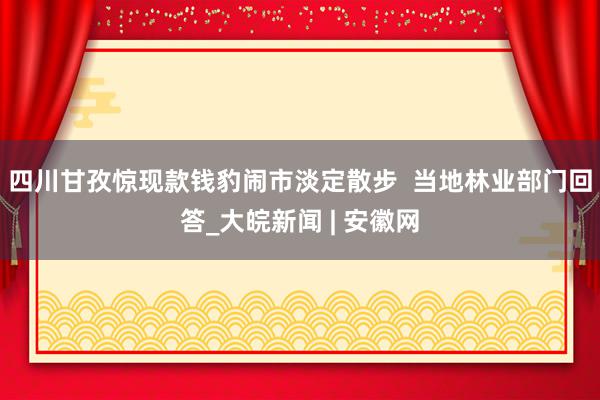 四川甘孜惊现款钱豹闹市淡定散步  当地林业部门回答_大皖新闻 | 安徽网