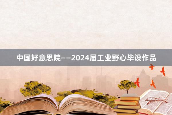 中国好意思院——2024届工业野心毕设作品