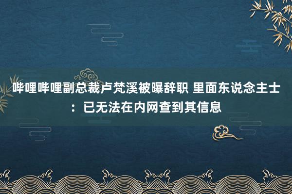 哔哩哔哩副总裁卢梵溪被曝辞职 里面东说念主士：已无法在内网查到其信息