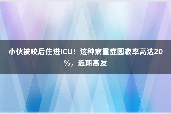 小伙被咬后住进ICU！这种病重症圆寂率高达20%，近期高发