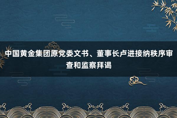 中国黄金集团原党委文书、董事长卢进接纳秩序审查和监察拜谒