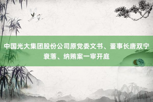 中国光大集团股份公司原党委文书、董事长唐双宁衰落、纳贿案一审开庭