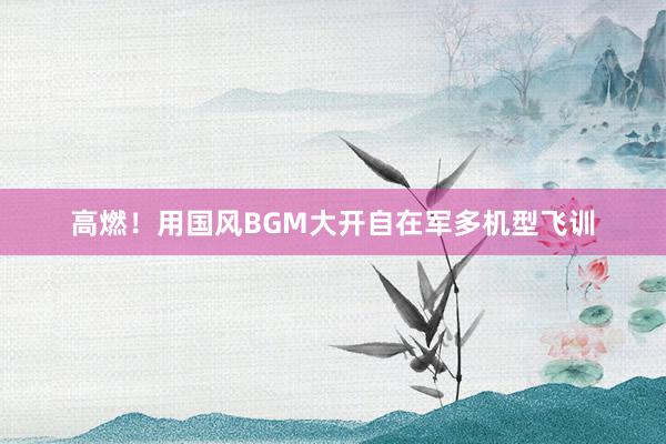 高燃！用国风BGM大开自在军多机型飞训